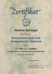Schmerz und Analgesie